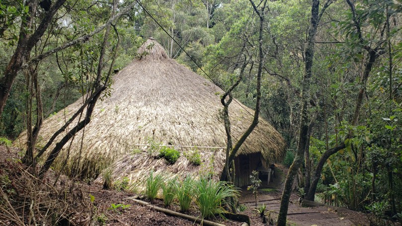 A large, indigenous, circular building with conical thatched roof in the forest