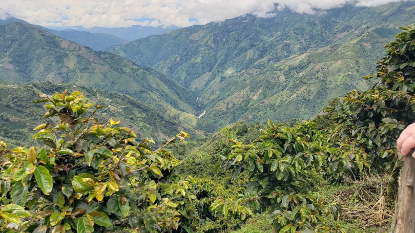 Lush mountainous valley stretching to the horizon with fluffy clouds