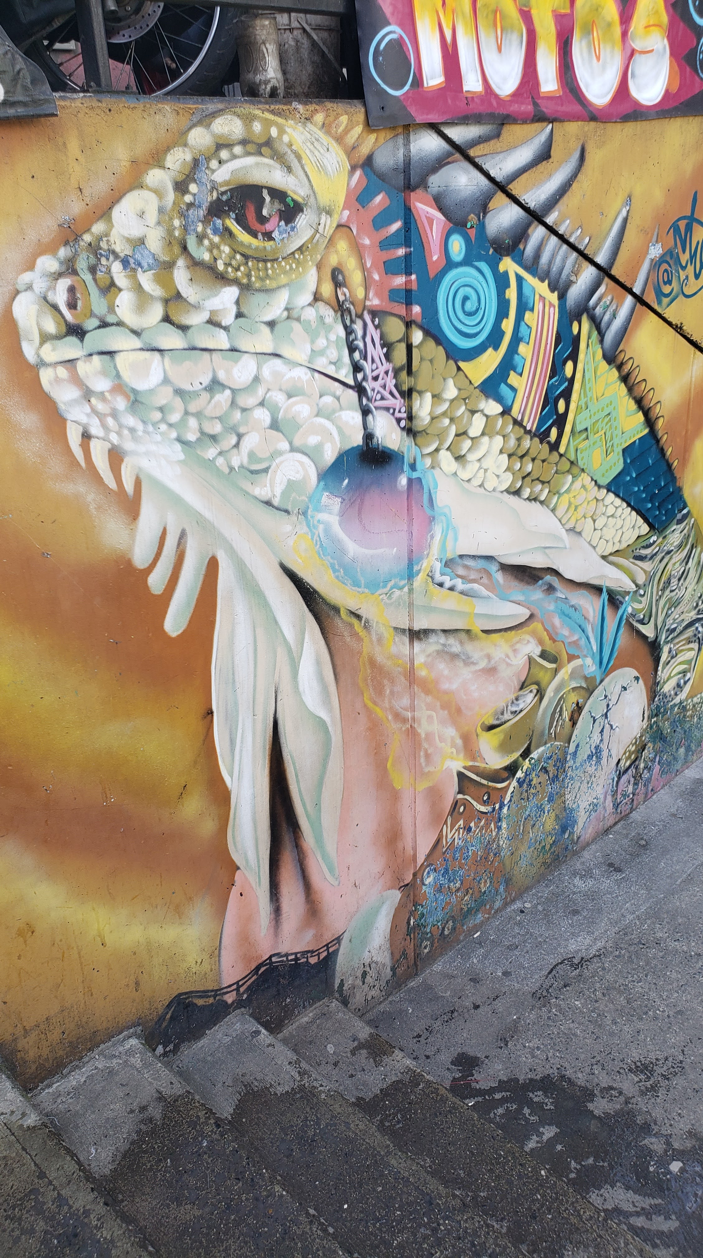 Mural of a colorful iguana head