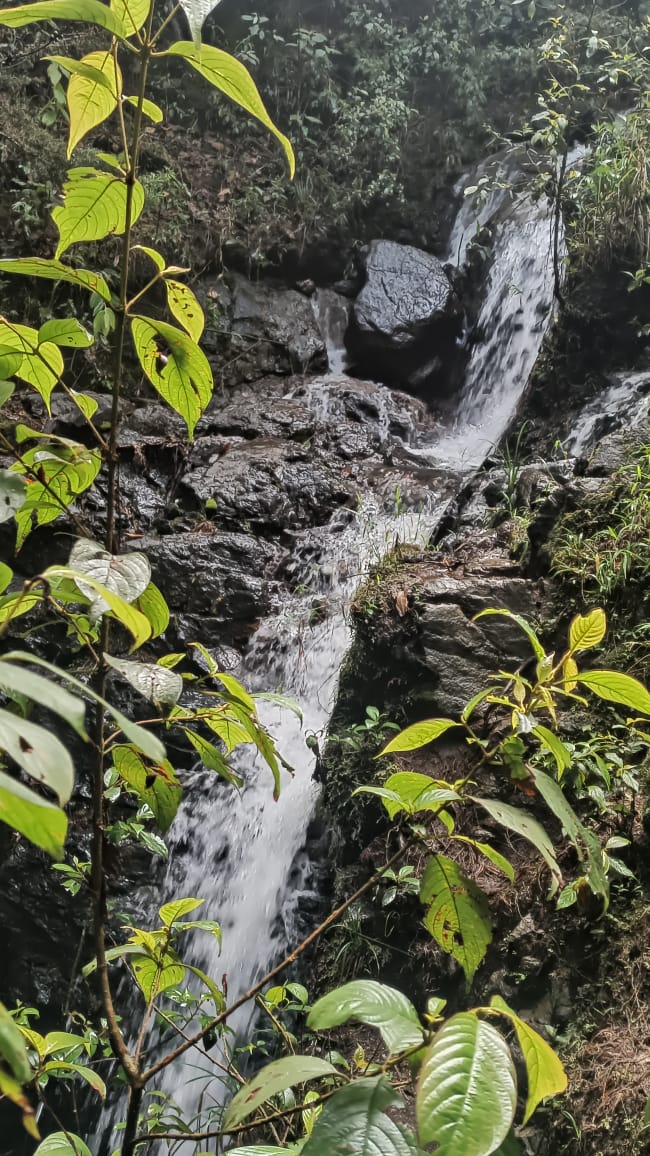 15' waterfall from a small creek down a steep rocky cliff
