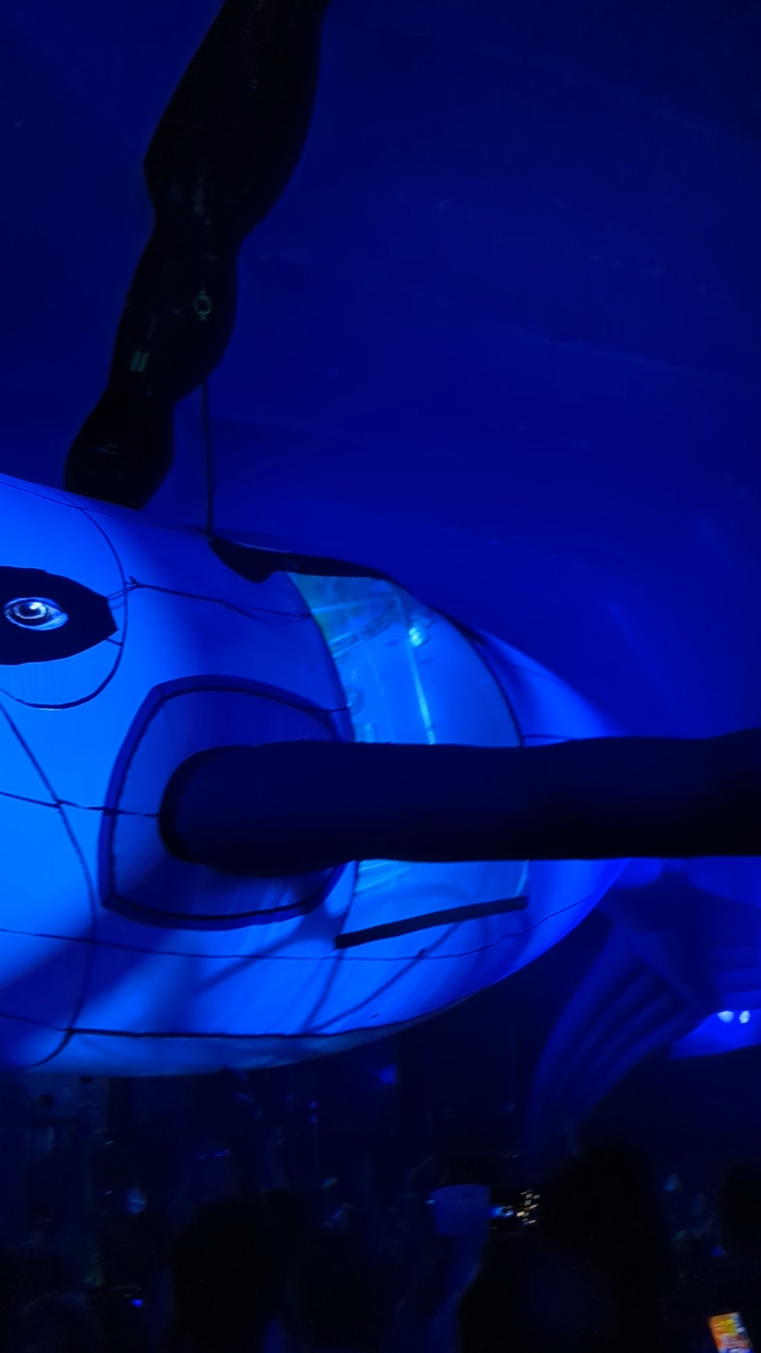 Large, inflated blue whale suspended above the crowd